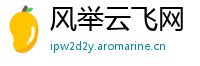 风举云飞网